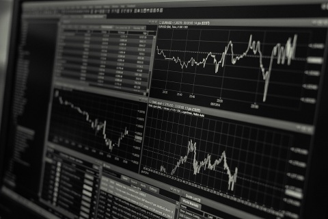 IVD Industry Under Pressure in 2024 Earnings: More Than 70% of Companies Posted Losses